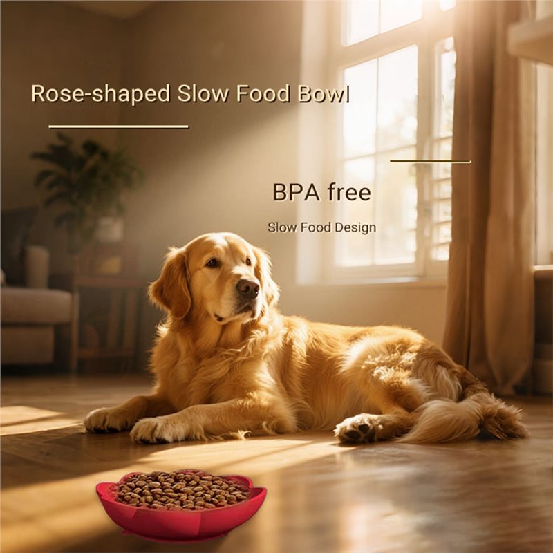 A11E-อุปกรณ์สำหรับสัตว์เลี้ยง  - Royal Canin Food Medium บทวิจารณ์และราคา