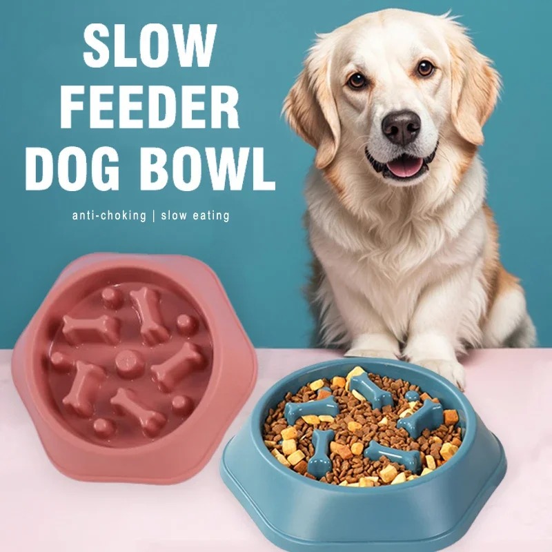 ชามอาหารสุนัขแบบป้อนช้า 1 ชิ้น - Royal Canin Food Medium บทวิจารณ์และราคา